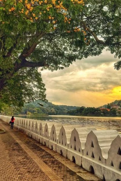 481246392_1052321550257263_4908080548042687714_n