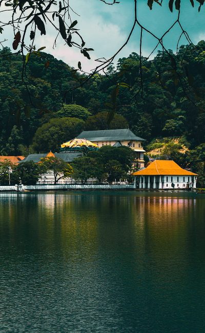 HD-wallpaper-kandy-daladamaligawa-iphone-mobile-nature-nature-graphy-sri-lanka-temple